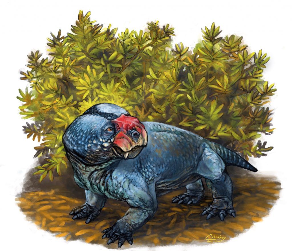 The Fossil Bulbasaur