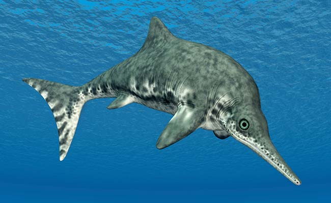 A Giant Ichthyosaur from the United Kingdom