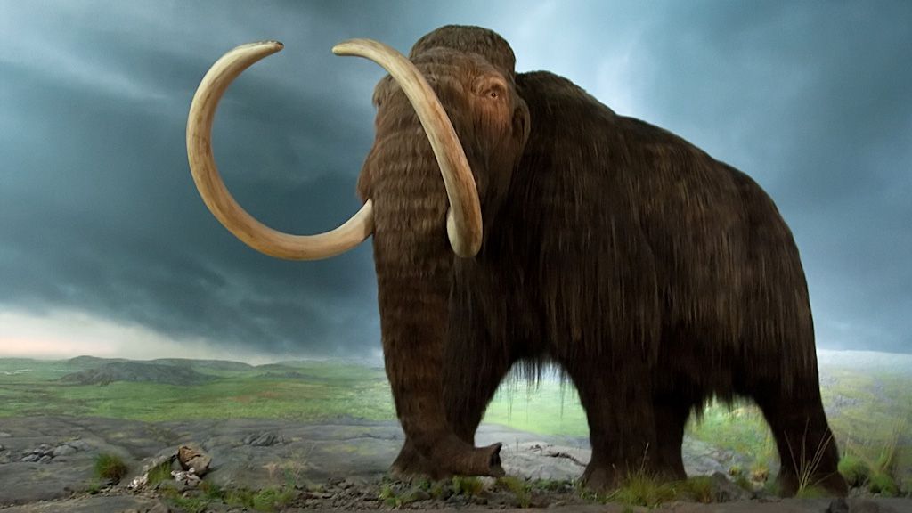 The Island Mammoths and the Sea