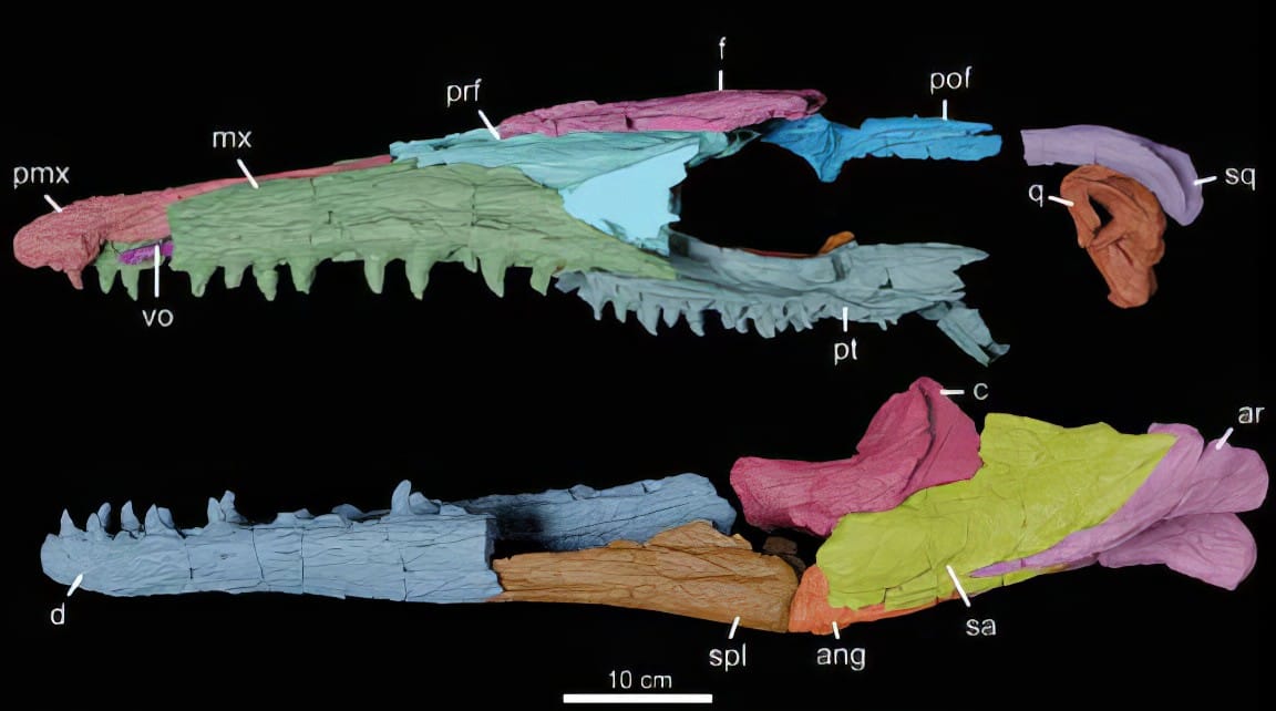 El Réptil de Walhalla