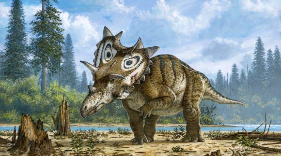 The Short Unhappy Life of a New Horned-Dinosaur