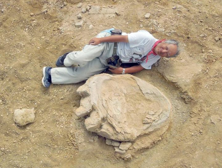 The Largest Footprint Ever Found and the Oldest Sauropod Trackway