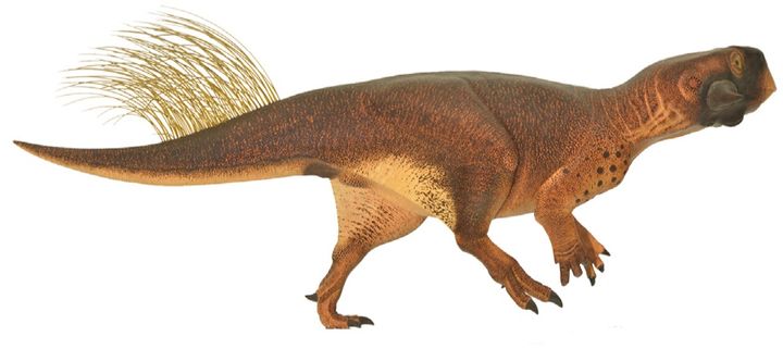 Una Nueva Imagen Para el Psittacosaurio