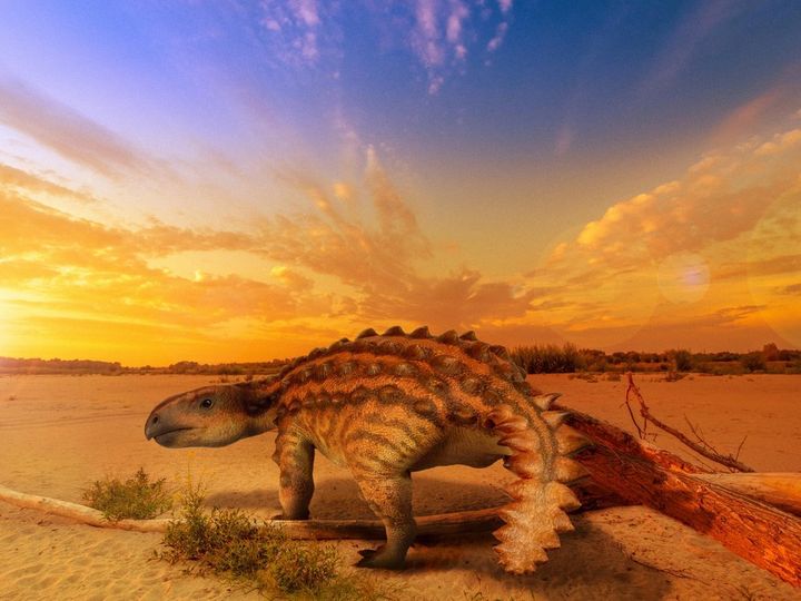 A New Ankylosaur from Chile