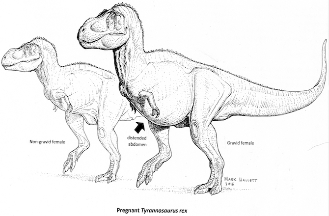 pregnant-t-rex