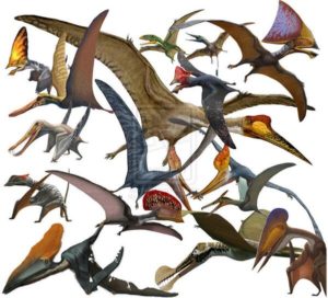 Pterosaur diversity sergey krasovskiy