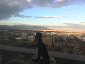 trex-with-view