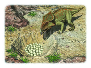 ILLUSTRATION-PROTOCERATOPS WITH EGGS